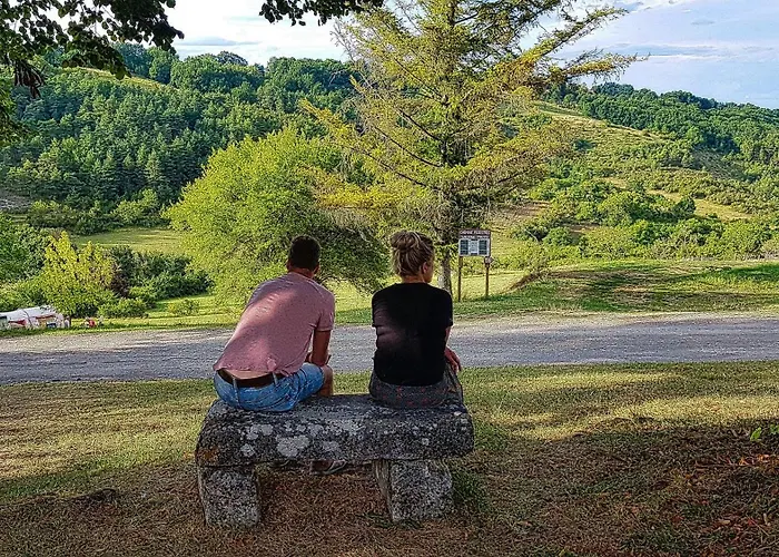 Camping Les Terrasses De Dordogne Rouffignac-Saint-Cernin-de-Reilhac